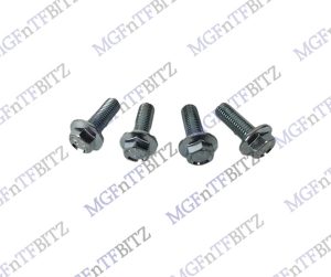 AP Caliper Flanged Head Screw Bolt FS112357 MGFnTFBITZ