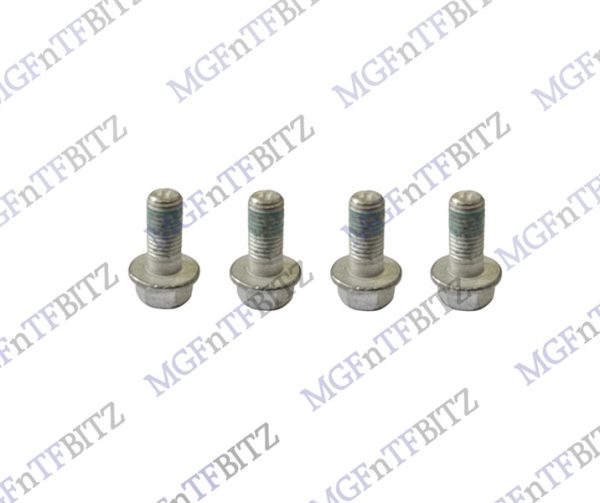 Rear Caliper to Carrier Bolt Set BAU5631 MGF MG TF at MGFnTFBITZ